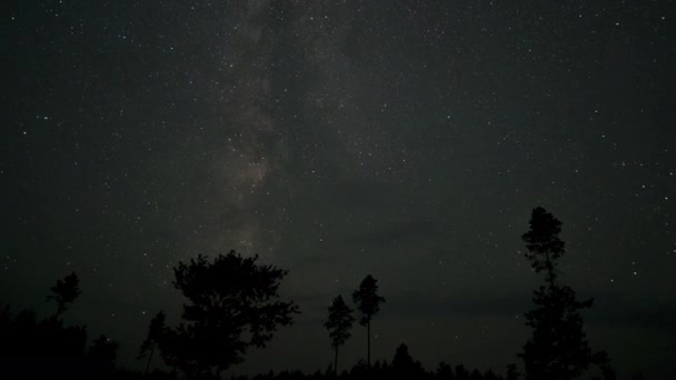 Timelapse Milky Way Galaxy Moves Silhouettes Trees Starry Night Background — ストック動画
