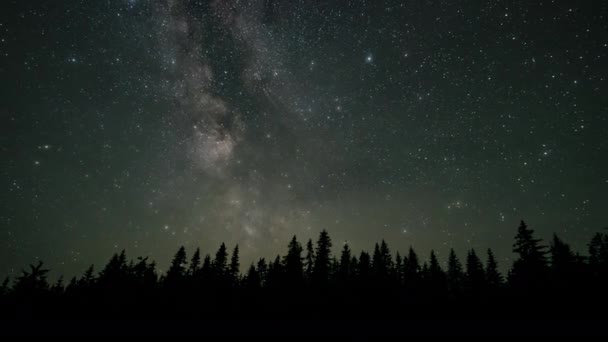 Timelapse Milky Way Galaxy Moves Silhouettes Trees Starry Night Background — Stockvideo