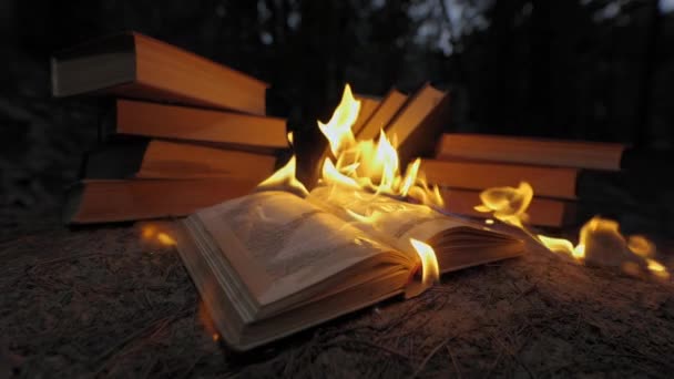 Open Book Fire Big Bright Flame Burning Paper Old Publication — стоковое видео