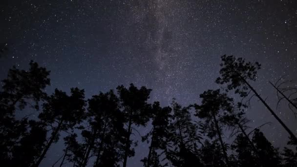 Časová Osa Galaxie Mléčné Dráhy Pohybuje Nad Siluetami Stromů Hvězdné — Stock video