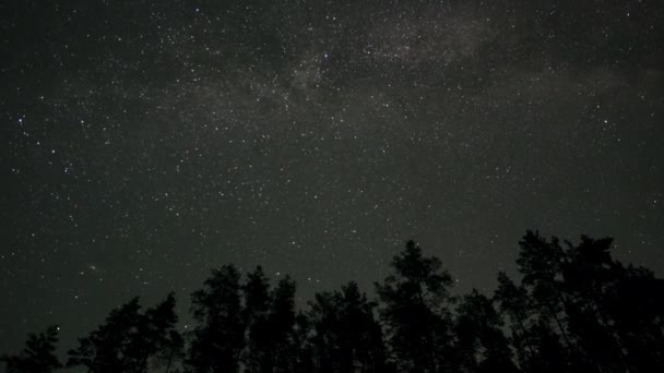 Timelapse Milky Way Galaxy Moves Silhouettes Trees Starry Night Background — Vídeos de Stock