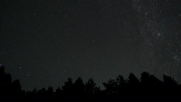 Timelapse Estrelas Movimento Céu Noturno Estrelas Movem Torno Uma Estrela — Vídeo de Stock