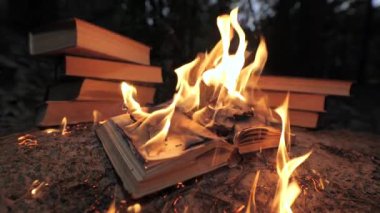 An open book is on fire. Big bright flame, burning paper on old publication in the dark. Book Burning - Censorship Concept, slow motion, close-up, 4K