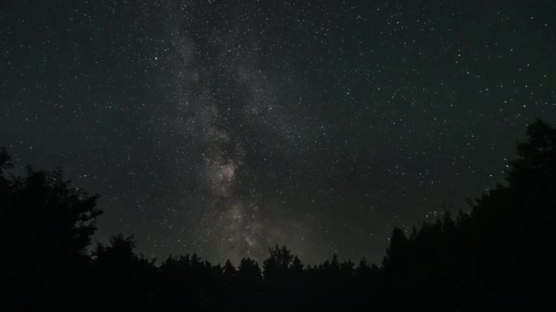 Timelapse Van Het Melkwegstelsel Beweegt Zich Boven Silhouetten Van Bomen — Stockvideo