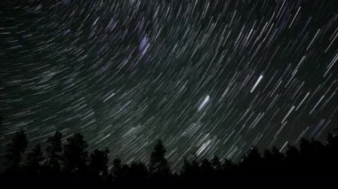 Kuyrukluyıldız şeklindeki yıldızların gece gökyüzünde orman boyunca zaman geçişi. Yıldızlar bir kutup yıldızının etrafında döner. Ultra 4K