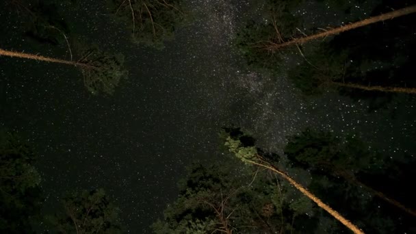 Magisk Ovanifrån Mjölkaktigt Sätt Galaxstjärnor Roterar Mörk Skog Natur Stjärnklar — Stockvideo
