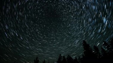 Kuyrukluyıldız şeklindeki yıldızların gece gökyüzünde orman boyunca zaman geçişi. Yıldızlar bir kutup yıldızının etrafında döner. Ultra 4K