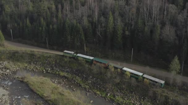 Aerial View Train Rides Railroad Drone Flight Locomotive Carriages Narrow — Stock video
