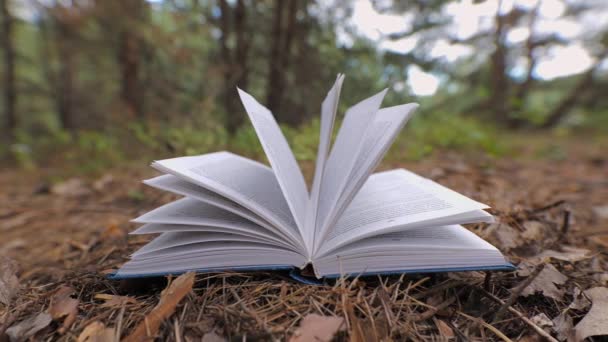 Otwarta Księga Lesie Koncepcja Uczenia Się Czytania Wiedzy Zbliżenie Zamazane — Wideo stockowe