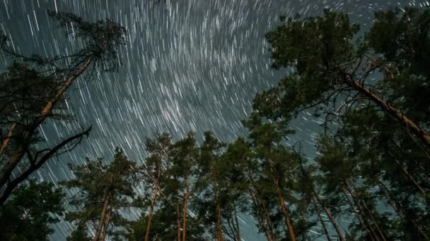 Yıldızlar Bir Kutup Yıldızının Etrafında Döner Gece Gökyüzünde Yıldız Zaman — Stok video