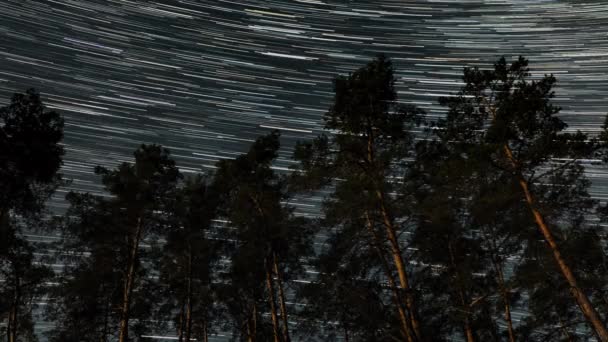 Lapso Tempo Star Trilhas Céu Noturno Silhuetas Árvores — Vídeo de Stock