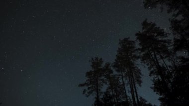 Gece gökyüzünde hareket eden yıldızların zamanı. Yıldızlar bir kutup yıldızının etrafında döner. 4k