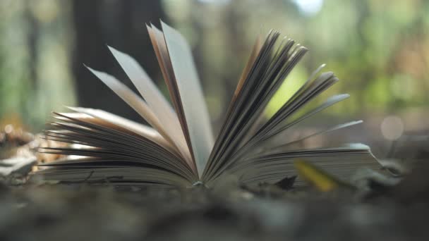 Öppen Bok Skogen Begreppet Lärande Läsning Och Kunskap Närbild Oklar — Stockvideo