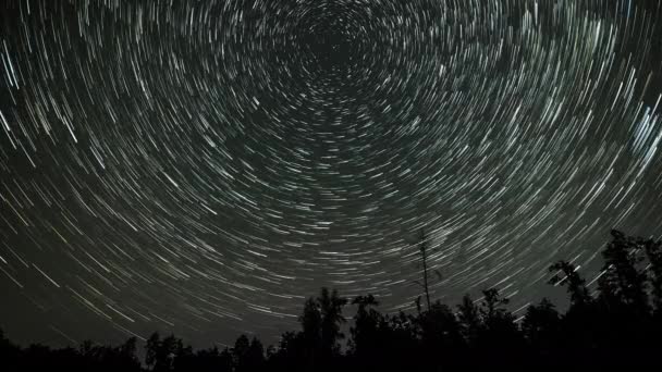 Prăbușirea Timpului Traseelor Stelare Formă Cometă Deasupra Pădurii Cerul Nopții — Videoclip de stoc