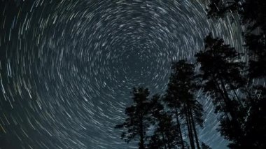 Kuyrukluyıldız şeklindeki yıldızların gece gökyüzünde orman boyunca zaman geçişi. Yıldızlar bir kutup yıldızının etrafında döner. Ultra 4K