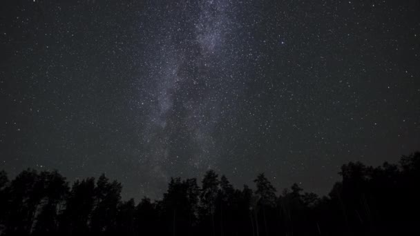 Timelapse Milky Way Galaxy Moves Silhouettes Trees Starry Night Background — стоковое видео