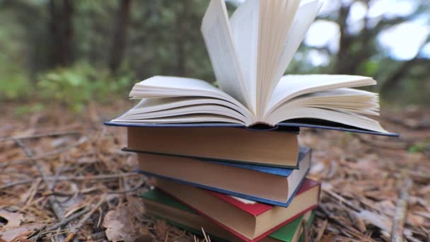 Ditumpuk Buku Hutan Konsep Pembelajaran Membaca Dan Pengetahuan Close Latar — Stok Video