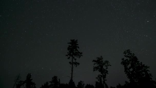 Хронология Движения Звёзд Вокруг Полярной Звезды Ночном Небе Звездная Ночь — стоковое видео