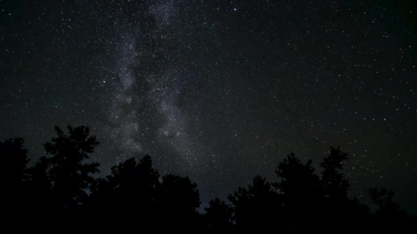 Vintergatans Galax Rör Sig Över Skog Stark Natt Bakgrund Episk — Stockvideo