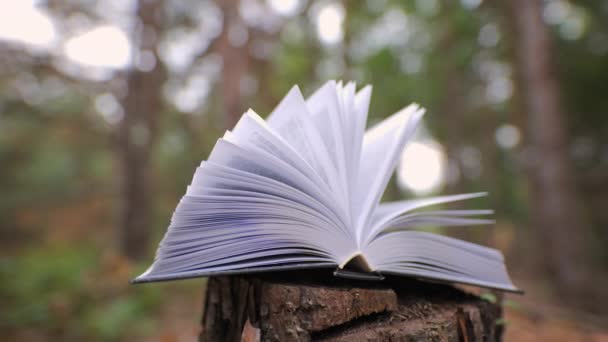 Ormanda Açık Bir Kitap Öğrenme Okuma Bilgi Kavramı Yakın Plan — Stok video