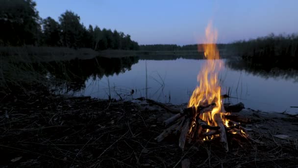 Ufer Eines Waldsees Brennt Ein Feuer Ruhe Und Entspannungskonzept — Stockvideo