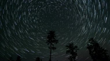 Kuyrukluyıldız şeklindeki yıldızların gece gökyüzünde orman boyunca zaman geçişi. Yıldızlar bir kutup yıldızının etrafında döner. Ultra 4K