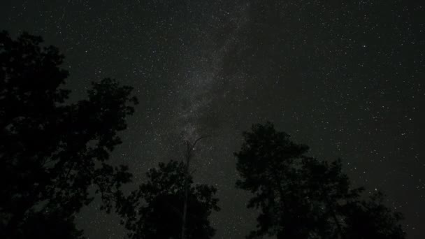 Timelapse Galaktyki Drogi Mlecznej Przesuwa Się Ponad Sylwetki Drzew Gwiaździste — Wideo stockowe