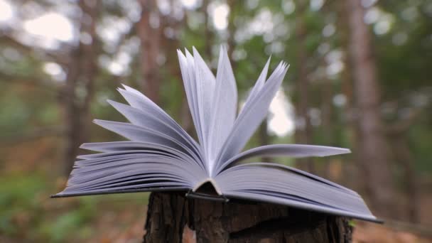 Открытая Книга Лесу Концепция Обучения Чтения Знаний Крупный План Размытое — стоковое видео