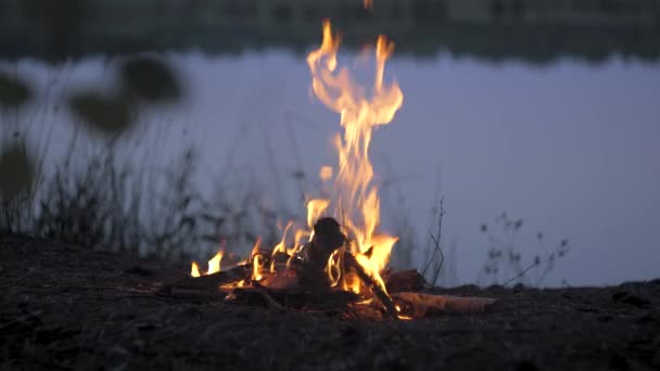 Api Membara Tepi Danau Hutan Konsep Ketenangan Dan Relaksasi — Stok Video