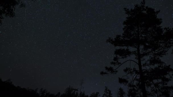 Timelapse Estrelas Movem Torno Uma Estrela Polar Céu Noturno Estrelas — Vídeo de Stock