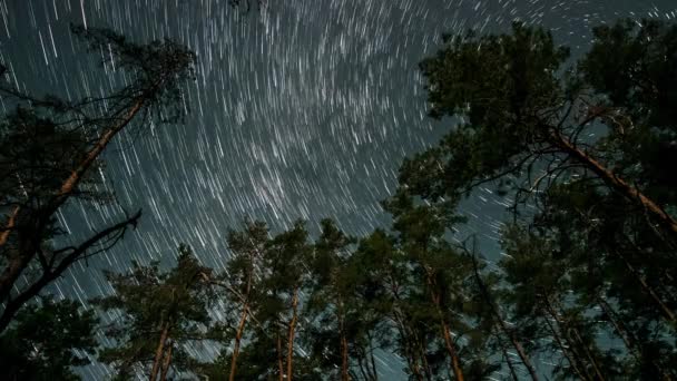 Kuyrukluyıldız Şeklindeki Yıldızların Gece Gökyüzünde Orman Boyunca Zaman Geçişi Yıldızlar — Stok video