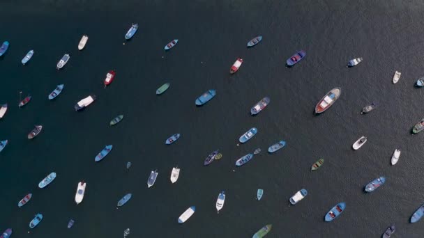 Vista Aérea Muitos Barcos Pesca Baía Perto Aldeia San Andres — Vídeo de Stock