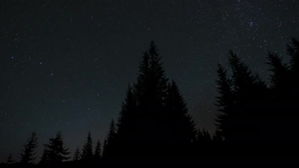 Stjärnornas Tidsförskjutning Rör Sig Ovanför Trädens Silhuetter Runt Polär Stjärna — Stockvideo