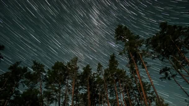 Time Lapse Sentieri Stellari Forma Cometa Sopra Foresta Nel Cielo — Video Stock