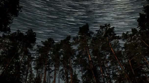 Прохід Кометоподібної Зоряної Стежки Над Лісом Нічному Небі Зорі Рухаються — стокове відео