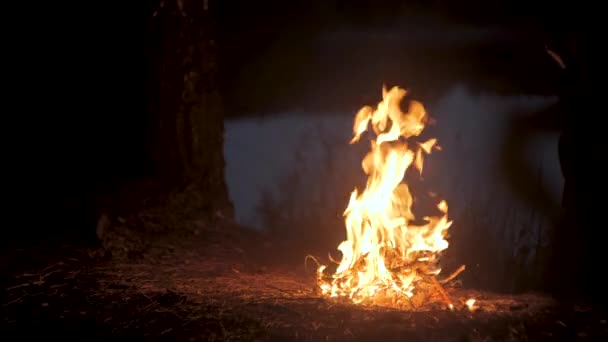 Ufer Eines Waldsees Brennt Ein Feuer Ruhe Und Entspannungskonzept — Stockvideo