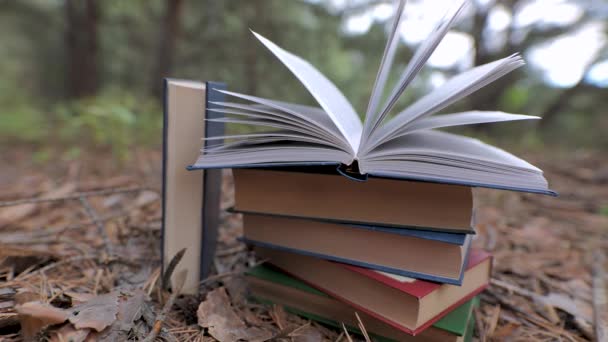 Ułożone Książki Lesie Koncepcja Uczenia Się Czytania Wiedzy Zbliżenie Zamazane — Wideo stockowe