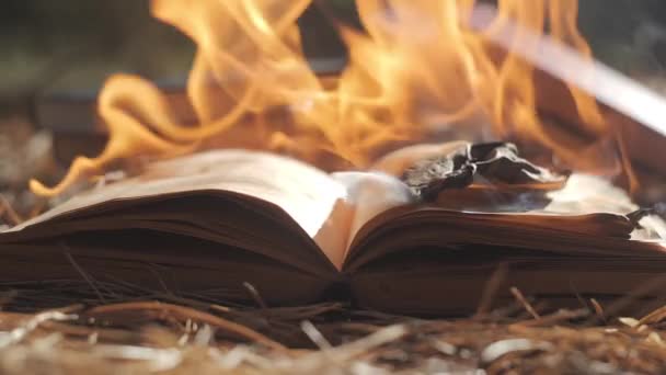 Een Open Boek Staat Brand Grote Heldere Vlam Brandend Papier — Stockvideo