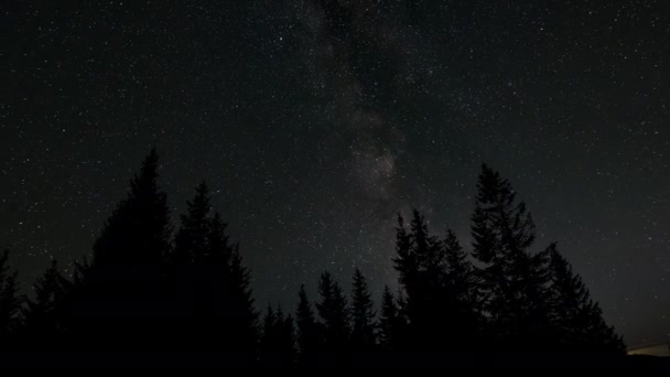 Časová Prodleva Mléčné Dráhy Galaxie Pohybuje Lese Hvězdné Noci Epické — Stock video