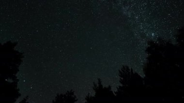 Yıldızların zaman atlaması, gece gökyüzünde bir kutup yıldızının etrafındaki ağaç siluetlerinin üzerinde hareket eder. Yıldızlı gece geçmişi. Efsanevi video 4K