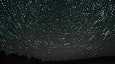 Kuyrukluyıldız şeklindeki yıldızların gece gökyüzünde orman boyunca zaman geçişi. Yıldızlar bir kutup yıldızının etrafında döner. Ultra 4K