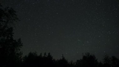 Yıldızların zaman atlaması, gece gökyüzünde bir kutup yıldızının etrafındaki ağaç siluetlerinin üzerinde hareket eder. Yıldızlı gece geçmişi. Efsanevi video 4K