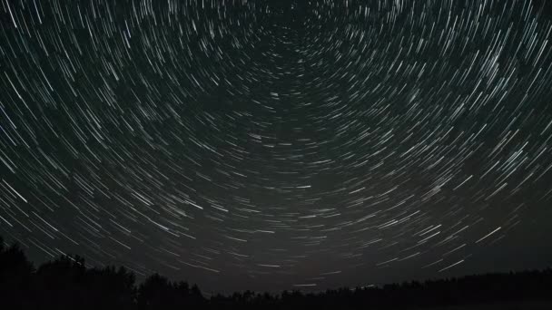 Временной Промежуток Комет Образных Звездных Следов Над Лесом Ночном Небе — стоковое видео