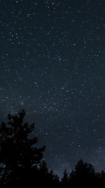 Tiden Går För Galaxen Att Röra Sig Milt Stjärnhimlen Vertikal — Stockvideo