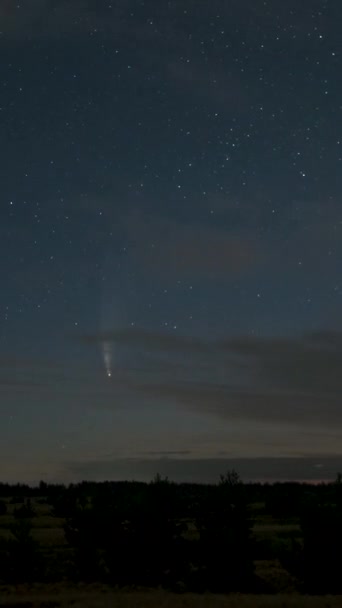Perioada Timp Cometei Neowise Deplasează Peste Cerul Nopții Printre Stele — Videoclip de stoc