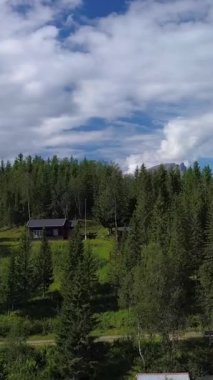 Norveç dağlarında bir orman ve göl üzerinde uçarken, dikey görüntüler