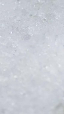 Eriyen karın parlak parçacıkları, açık yeşil çimenler, yapraklar ve çam iğneleri mevsimlerin kıştan bahara kadar ormanda değişmesi, dikey görüntüler.