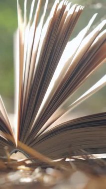 Ormanda açık bir kitap. Öğrenme, okuma ve bilgi kavramı. Yakın plan. Arka plan bulanık. Dikey video