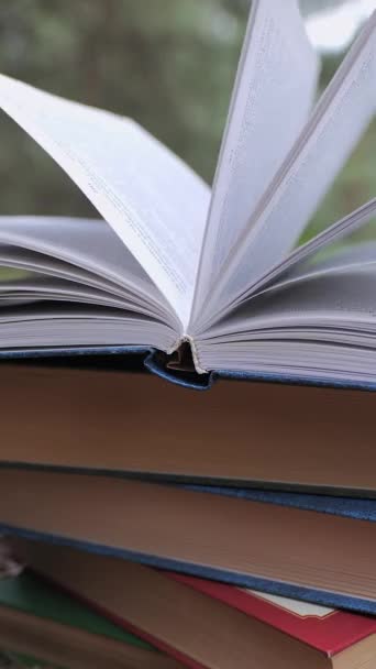 Livros Empilhados Floresta Conceito Aprendizagem Leitura Conhecimento Close Fundo Desfocado — Vídeo de Stock