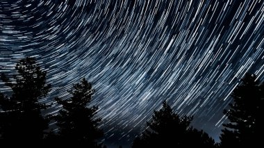 Gece gökyüzünde yıldız izleri. Yıldızlar bir kutup yıldızının etrafında döner. Ağaçların siluetleri